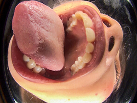 淫語 唾責めバーチャルレズキス　サンプル画像08